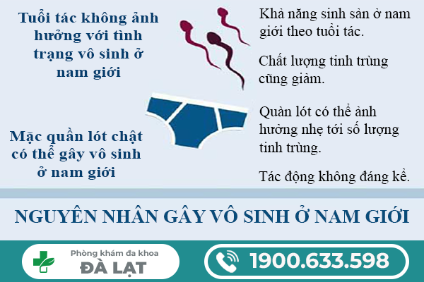 Hình ảnh minh họa